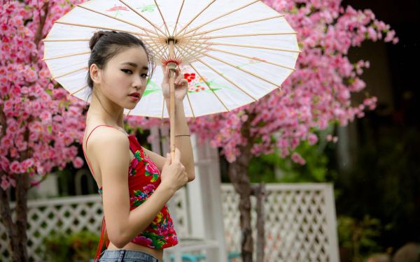 苏娆司意寒（苏娆司意寒）全文在线阅读无弹窗大结局_（苏娆司意寒）苏娆司意寒最新章节列表（苏娆司意寒）