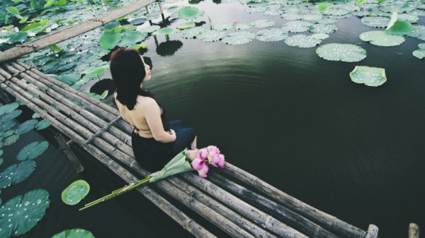 贺修远丁楚沅（贺修远丁楚沅）全文免费阅读无弹窗大结局_(贺修远丁楚沅免费阅读全文大结局)贺修远丁楚沅最新章节列表（贺修远丁楚沅）